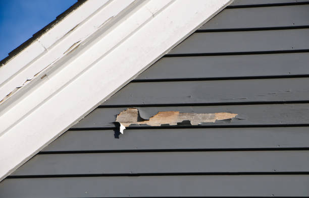 Best Custom Trim and Detailing for Siding  in Oceano, CA